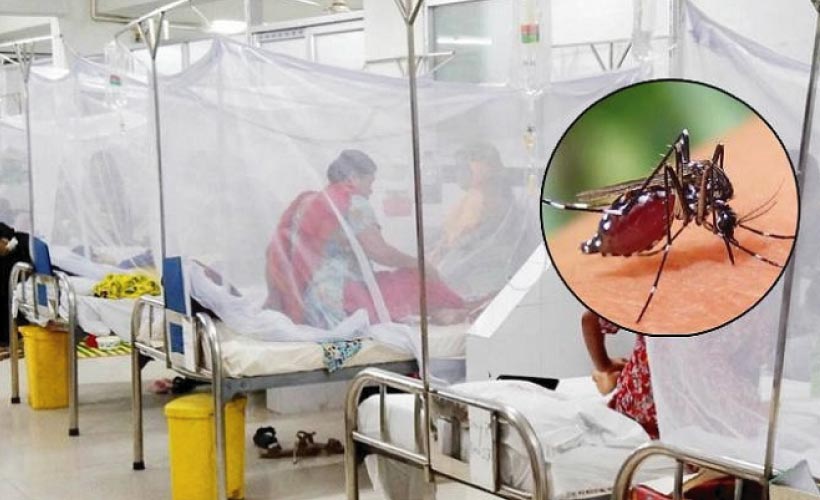 Dengue