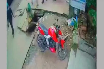 তরুণী