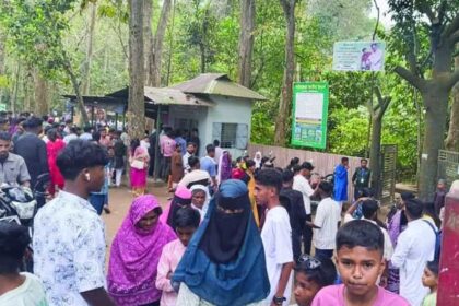 লাউয়াছড়া জাতীয় উদ্যান