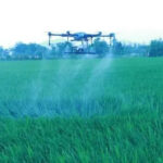 গুয়াংজুর ক্যান্টন ফেয়ার