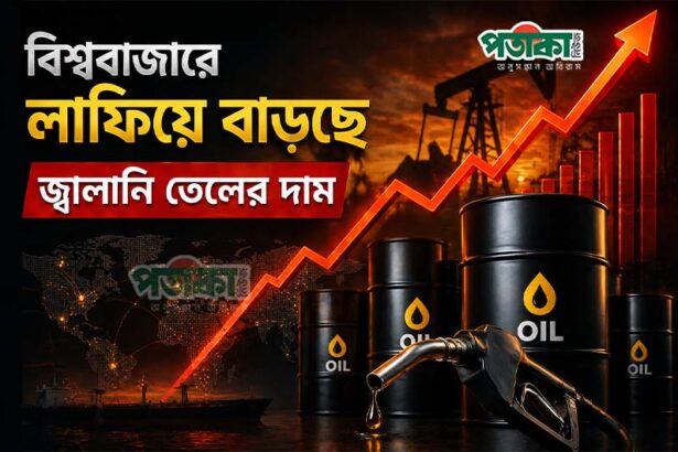 বিশ্ববাজারে বেড়েই চলেছে তেলের দাম।