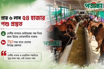 পাবনায় চাহিদার দ্বিগুণ পশু
