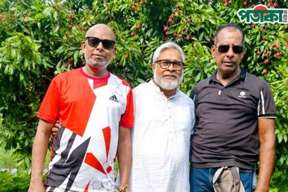 বিনা পয়সায় বাগানের লিচু খান