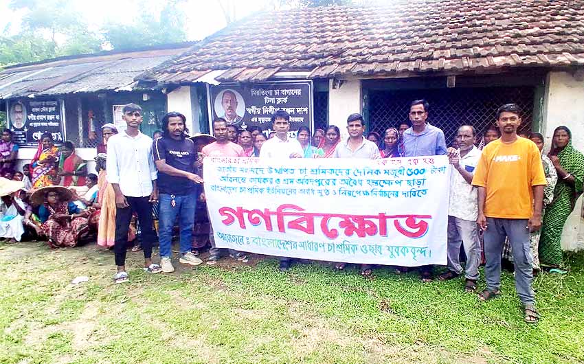 Tea Garden Labour