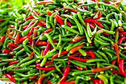Green chili