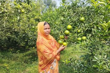 বাজিমাত